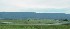 Route 81